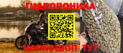 твердый Ставрополь