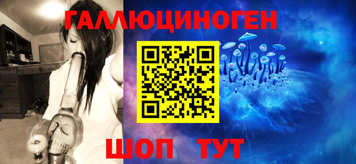 где купить   Псилоцибиновые грибы MAGIC MUSHROOMS  Вход с VPN  Протвино  Галлюциногенные грибы мицелий 