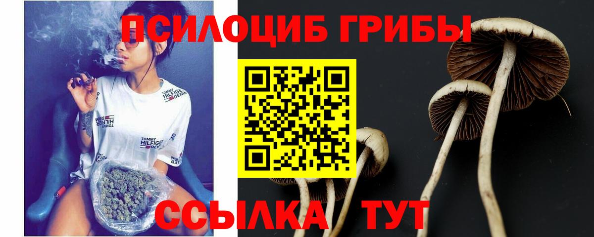Галлюциногенные грибы Magic Shrooms Протвино